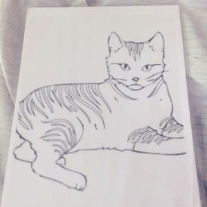 Go and chicken double sided coloring sheet laminated